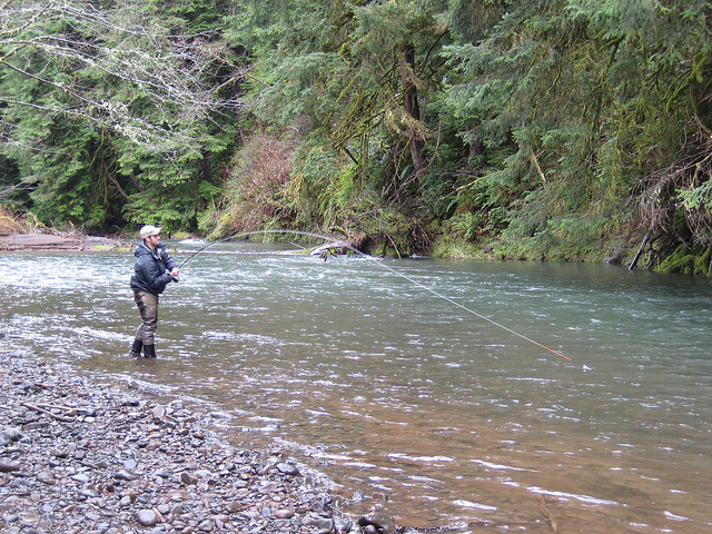 Oregon steelheading